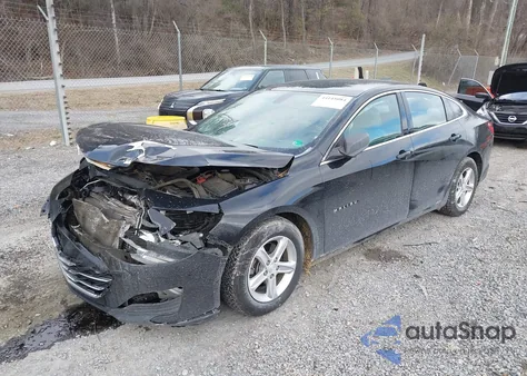 2019 Chevrolet Malibu 1Fl z USA, uszkodzony, nr VIN 1G1ZC5ST0KF182293